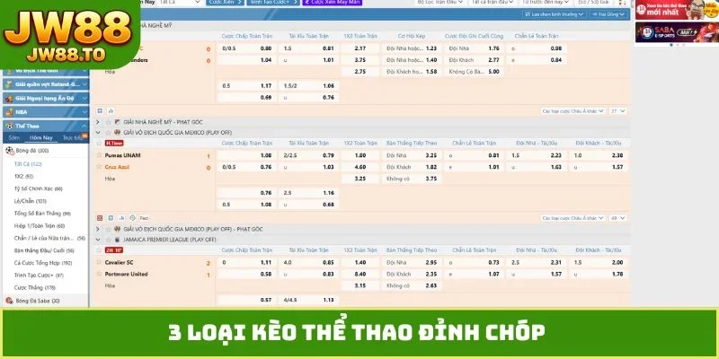 Thể Thao JW88 - Cơ Hội Vàng Để Chinh Phục Mọi Cửa Cược - bet164.casa