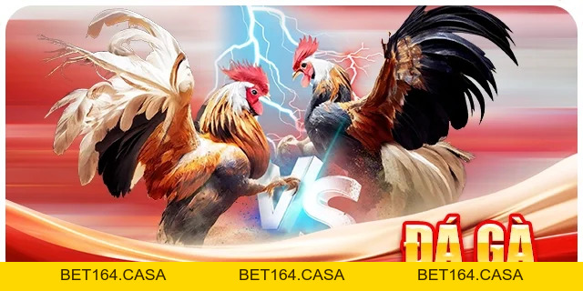 JW88 VIP PRO  – Link Trang Chủ JW88.COM Chính Thức, Trải Nghiệm Cá Cược Châu Á 2026 - bet164.casa